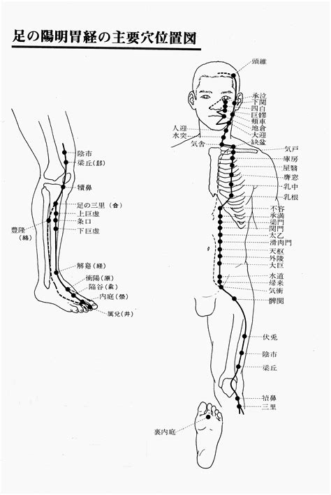 玉穴|経穴（ツボ）の一覧と読み方